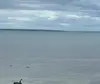 嘿嘿嗨