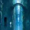 边锋会踢球