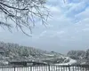 刚果球王