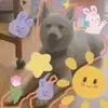 亚马尔大王