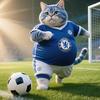Chelsea胖猫