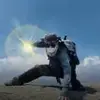 托拉斯薯条
