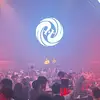 花开洛城