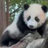 汉中边后卫小贾
