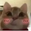 qyrcysry