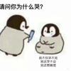 V587华帝