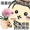 心好塞