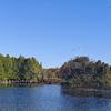 在学校