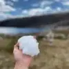 成都维罗纳小任7