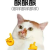 重庆美因茨小段8