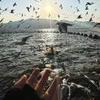 浓淡相间色相构