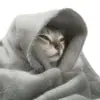 在现场