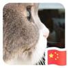 八点半想吃鱼