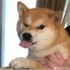 风清扬o