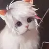 郑州守门员小宋