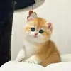 鱼虾蟹大排档
