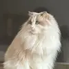 周不游啊啊