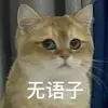 簇桥街娃儿张白告