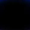 yanglive