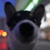 隧至那不勒斯