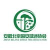 安徽北京国安球迷会会长