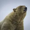正如一气