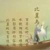 雨后路人