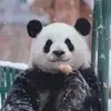 第三人称i