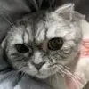 曼联球迷刘浩存