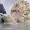 党同伐异