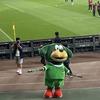 卢瑟boy