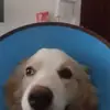 窝贰弟天下无敌