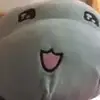 甘肃布雷斯特小黎