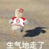 魔鬼之师