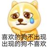 可梦终究是会醒的