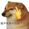 春非我春