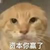 哈哈哈nnnnmm