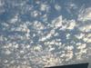 EllYaR-