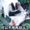 不过n1不改名