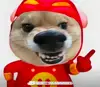 Windy丿