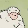 Dagcarry