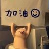 chenxi__