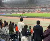 视线往北