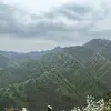 A张星