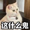 黄老邪0908