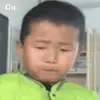vvanish