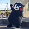 苏畅宁