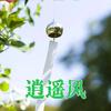 自在逍遥风