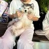 南昌中场小刘