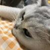 上海如皋奥体中心小蔡8